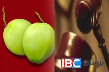 இரண்டு தேங்காய்களை திருடியவர் கொலை : 24 வருடங்களுக்கு பின்னர் விதிக்கப்பட்ட மரணதண்டனை