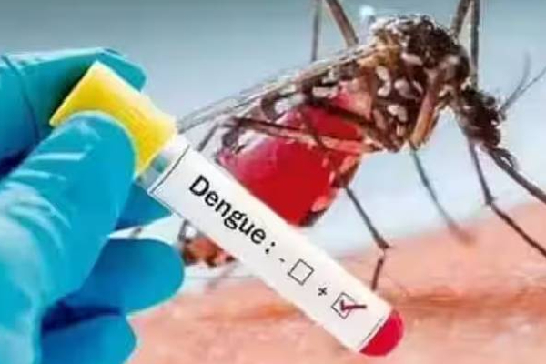 இலங்கையில் 5 டெங்கு அபாயமிக்க மாவட்டங்கள் அடையாளம்! | Dengue Risk Districts Identified In Sri Lanka