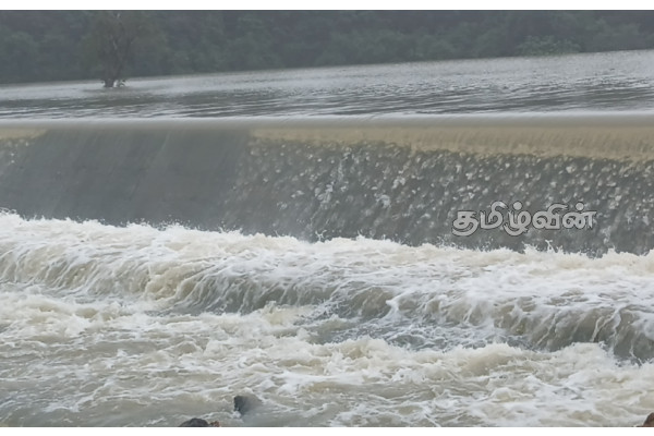 கிளிநொச்சியில் குளங்களின் நீர்மட்டம் அதிகரிப்பு | Water Levels In Ponds Increase In Kilinochchi கிளிநொச்சியில் குளங்களின் நீர்மட்டம் அதிகரிப்பு | Water Levels In Ponds Increase In Kilinochchi
