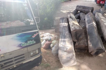 அனுராதபுரத்தில் கருங்காலி மரக்குற்றிகளுடன் இருவர் கைது