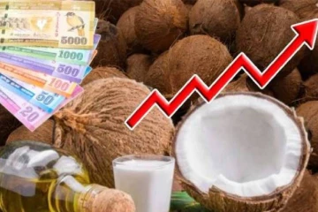 வரலாறு காணாத உயர்வை எட்டிய இலங்கையின் தேங்காய் ஏற்றுமதி