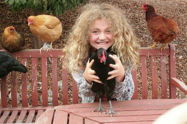 கோழிகள் மீது கொண்ட அன்பால் இளம்பெண்ணுக்கு 5 ஆண்டு சிறை தண்டனை! அப்படி என்ன செய்தார்? | California Woman Prison Sentence For Chicken Theft கோழிகள் மீது கொண்ட அன்பால் இளம்பெண்ணுக்கு 5 ஆண்டு சிறை தண்டனை! அப்படி என்ன செய்தார்? | California Woman Prison Sentence For Chicken Theft