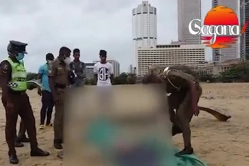 තවත් මළසිරුරක් ගාලු මුවදොර වෙරළට ගොඩ ගසයි.. (VIDEO)