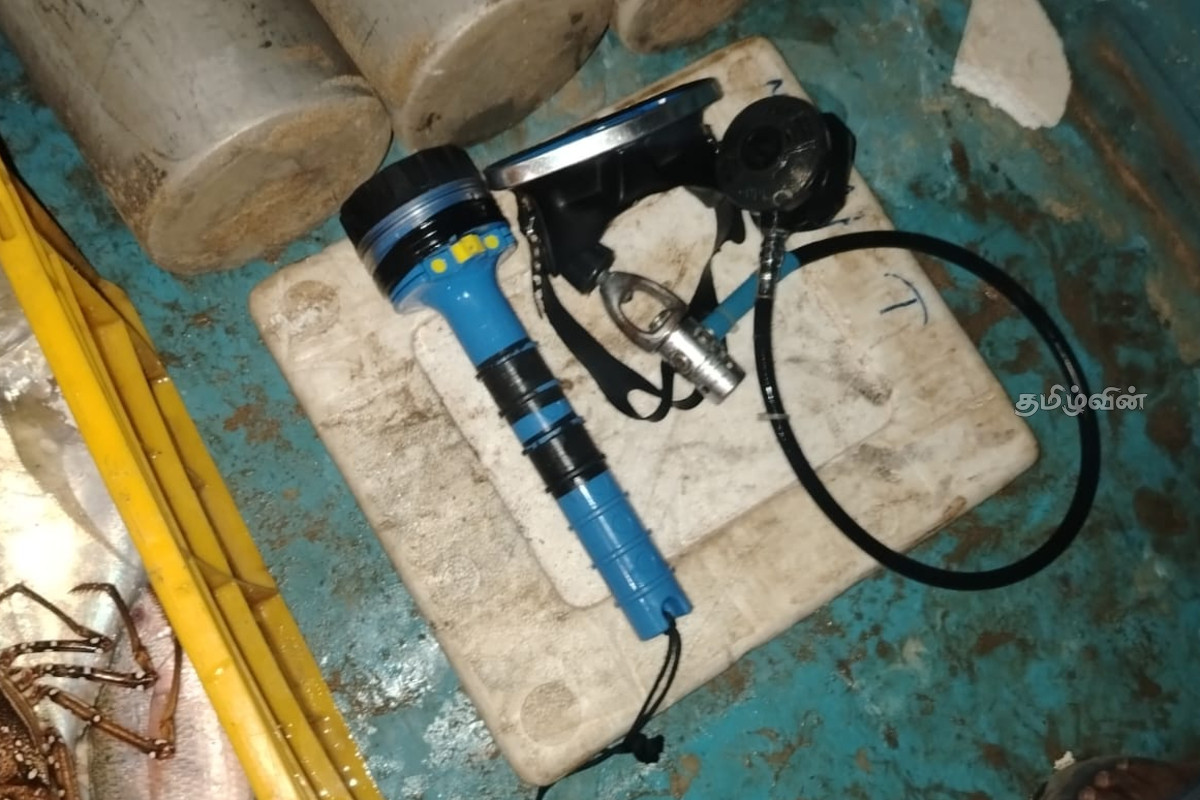 திருகோணமலையில் கடலட்டைகளுடன் ஐவர் கைது! | Five Arrested With Seashells In Trincomalee