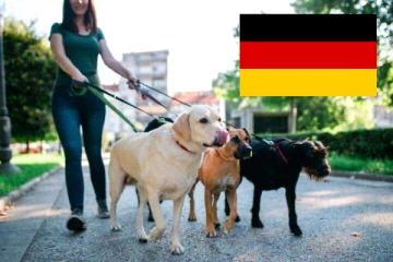 ஜேர்மனியில் ரூ.14,500 கோடிகளுக்கு நாய் வரி கட்டியுள்ள மக்கள்! ஊரடங்கால் அதிகரித்த வருவாய்