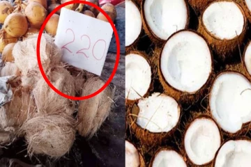 இலங்கையில் எகிறிய தேங்காய் விலை; பாதி 120 ரூபாய்!