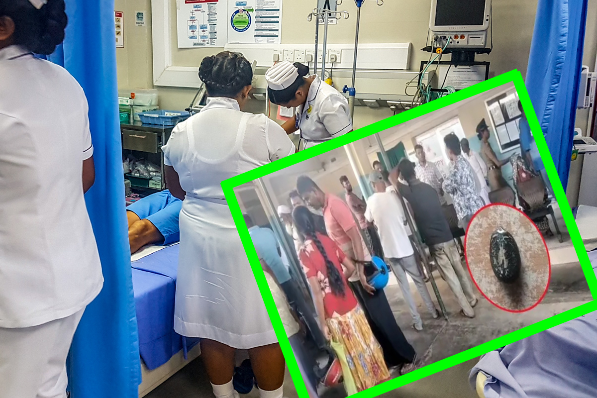 தமிழர் பிரதேசத்தில் பரபரப்பு; பாடசாலையொன்றில் விஷ விதைகளை உட்கொண்ட 22 மாணவர்கள்! | 22 Students At A School Hospital Poisonous Seeds தமிழர் பிரதேசத்தில் பரபரப்பு; பாடசாலையொன்றில் விஷ விதைகளை உட்கொண்ட 22 மாணவர்கள்! | 22 Students At A School Hospital Poisonous Seeds