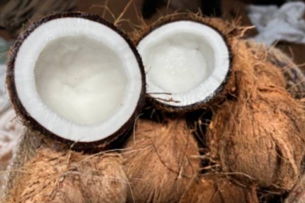 தேங்காய் எண்ணெய்யின் விலை அதிகரிப்பு | Coconut Oil Price Increase தேங்காய் எண்ணெய்யின் விலை அதிகரிப்பு | Coconut Oil Price Increase