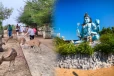 சுற்றுலா பயணிகளை கவரும் திருகோணமலை மான்கள்!