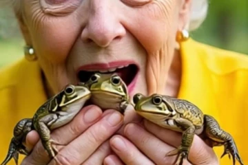 சீனாவில் முதுகுவலி போக தவளைகளை விழுங்கிய மூதாட்டி