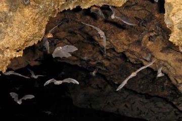 சீனாவிலிருந்து இன்னொரு பேரழிவு உலகை உலுக்கும்! எச்சரிக்கும் ஆய்வறிக்கைகள்