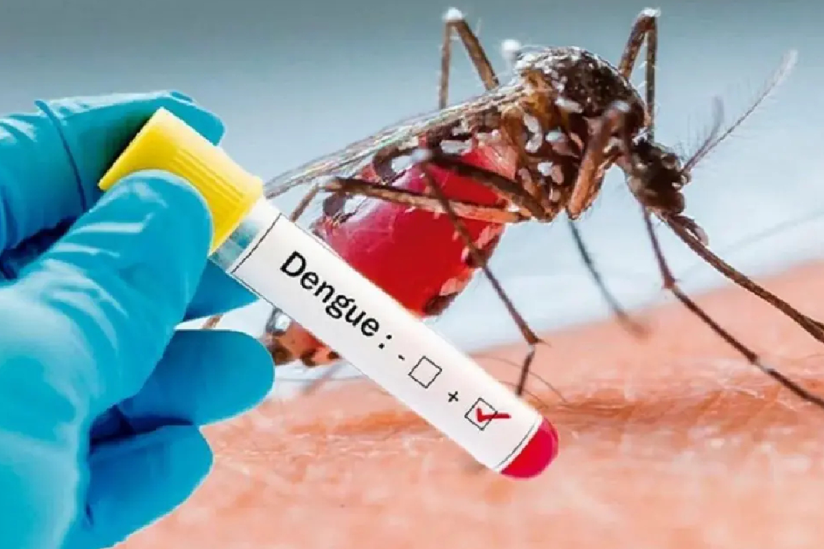 14 மாவட்டங்களுக்கு டெங்கு அபாய எச்சரிக்கை | Dengue Alert For 14 Districts 14 மாவட்டங்களுக்கு டெங்கு அபாய எச்சரிக்கை | Dengue Alert For 14 Districts