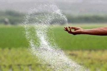 ගැටලුවක් වූ තඹුත්තේගම පොහොර සාම්පල පරීක්ෂාවට යොමු කරයි