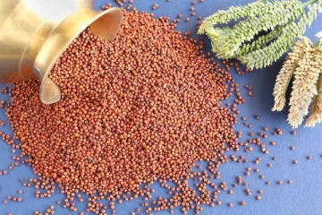 இவர்கள் எல்லாம் கேழ்வரகை சாப்பிடவேகூடாது... மீறினால் நடக்கும் விபரீதம் என்னென்ன?