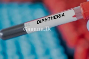 පැතිර යන තවත් භයානක රෝගයක් - 600කට වඩා පිරිසක් මේ වන විටත් මිය ගිහින්.. රෝගය පැතිරෙන්නේ මෙහෙමයි.