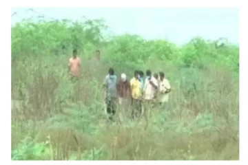 8 மாதத்திற்கு பின்பு கண்டெடுக்கப்பட்ட இளம்பெண்ணின் எலும்புக்கூடு... கொடூரத்தின் பின்னணியில் பகீர் உண்மை