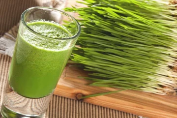 வெறும் வயிற்றில்  ஒரு டம்ளர் அருகம்புல் சாறு குடிங்க! இந்த நன்மைகள் கிடைக்குமாம்