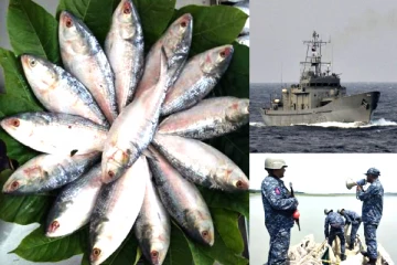 17 போர் கப்பல்கள், ஹெலிகாப்டர்கள்: 24 மணிநேரமும் மீனுக்கு இராணுவ பாதுகாப்பு- ஏன்?