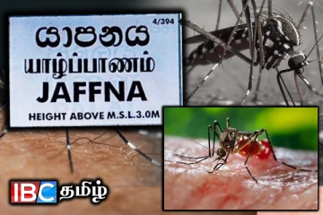 யாழ். பருத்தித்துறையில் டெங்கு பரவும் சூழல் - ஒரு இலட்சத்து 10 ஆயிரம் ரூபாய் தண்டம்