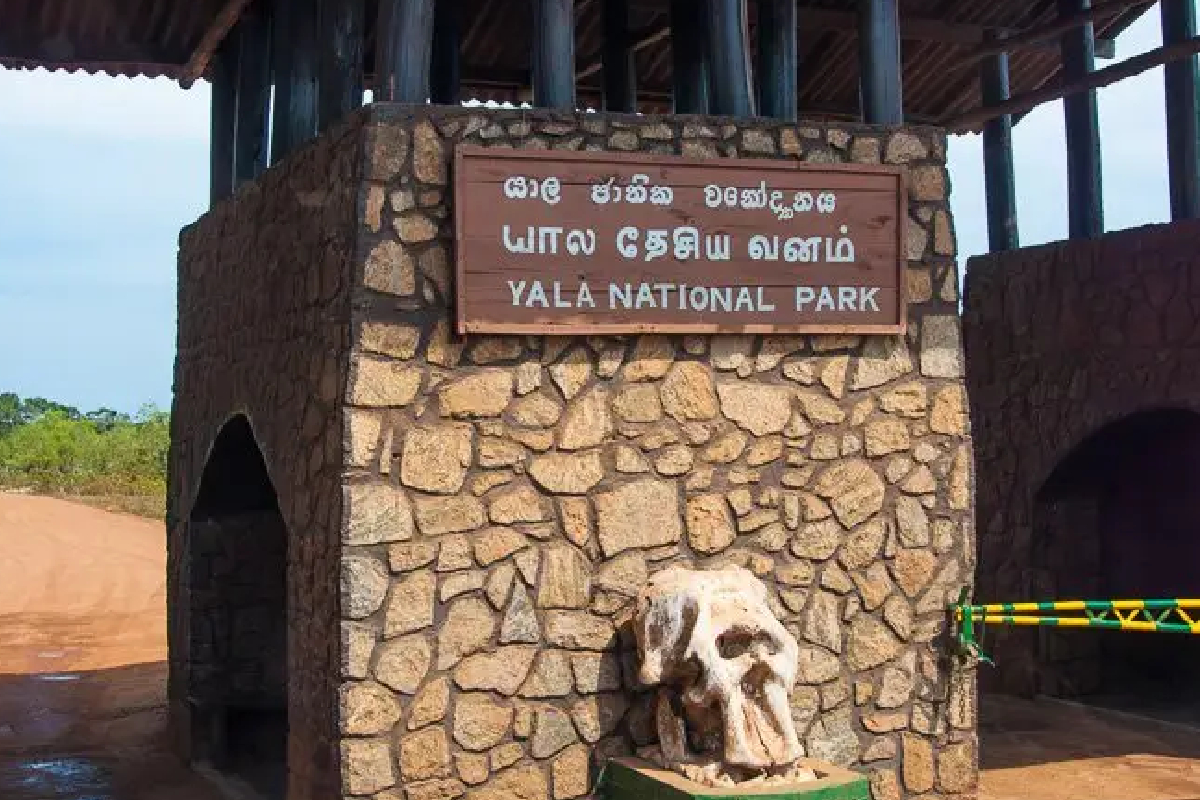 தற்காலிகமாக மூடப்பட்ட யால தேசியப் பூங்கா | Yala National Park Temporarily Closed