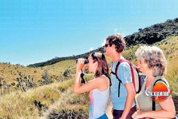 සංචාරක සංවර්ධන අධිකාරියෙන් සුබ පණිවිඩයක්