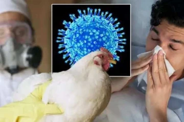 தீவிரமாகும் பறவை காய்ச்சல்; மக்களே கவனம் - தமிழகத்தில் தீவிர நடவடிக்கை!