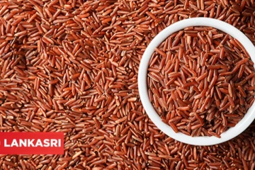 சர்க்கரை நோயாளிக்கு வரபிரசதமாக அமையும் சிவப்பு அரிசி! இன்னும் பல நன்மைகள் உண்டு