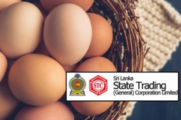 முட்டை இறக்குமதி தொடர்பில் வெளியாகியுள்ள தகவல்