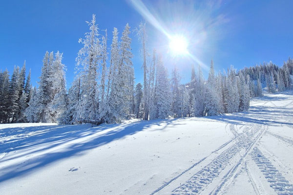 பனிச்சரிவில் சிக்கி 3 பேர் உயிரிழப்பு | 3 People Were Death In A Snow