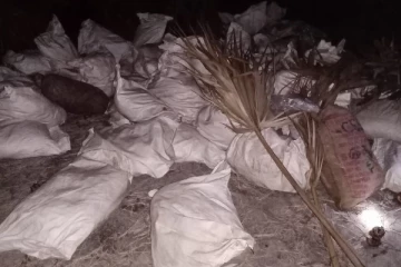 சட்டவிரோதமாக இலங்கைக்கு கொண்டு வரப்பட்ட பெருமளவு மஞ்சள் மீட்பு! (படங்கள்)