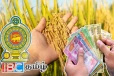 விவசாயிகளுக்கு வெளியான நற்செய்தி: 25,000 ரூபாய் உர மானியம்!
