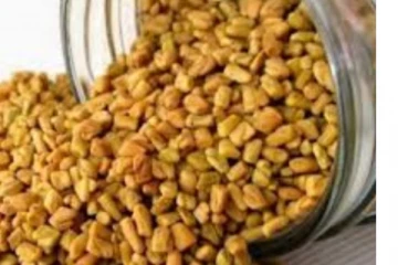 கொழுப்பினை கரைக்கும் ஊற வைத்த வெந்தயம்... சர்க்கரை நோயாளிகளே கட்டாயம் தெரிஞ்சிக்கோங்க