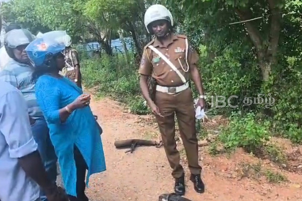 திருகோணமலையில் விபத்தில் சிக்கி ஒருவர் படுகாயம்! | Muttur Accident 68 Year Old Injured In Crash