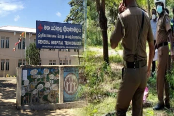 திருகோணமலையில் பாம்பு தீண்டி மூன்று மாத கற்பிணித்தாய் மரணம்