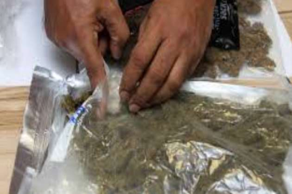 வெளிநாட்டிலிருந்து வந்த ‘பார்சல்’ :பிரித்து பார்த்த அதிகாரிகளுக்கு காத்திருந்த அதிர்ச்சி | Rs 60 Mn Worth Of Kush At Central Mail Exchange