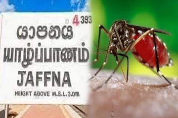 யாழில் டெங்கு நோய் பரவும் வகையில் சூழலை வைத்திருந்தோருக்கு எதிராக வழக்குத்தாக்கல்