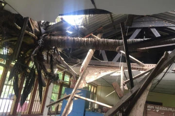 பாடசாலையின் மீது விழுந்த மரம்! பத்து பேர் படுகாயம்(Photos)