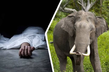 பொலன்னறுவையில் யானை தாக்கி ஒருவர் பலி!