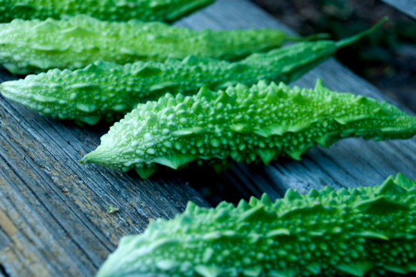 பாகற்காய் பிடிக்காதா? இத படிச்சா வேணாம்னு சொல்ல மாட்டிங்க! | Don T Tell Want To Read This Bitter Melon