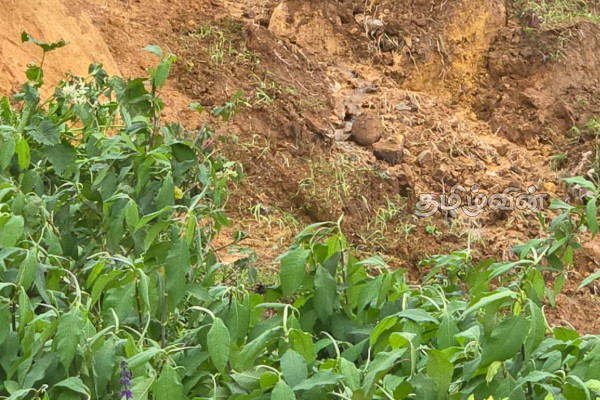 பேரிடரிலும் கொடூரமானவர்களின் மறுபக்கம் - பாதிக்கப்பட்டவர்களுக்கு அச்சுறுத்தல் | Disasters In Sri Lanka Threats To Victims