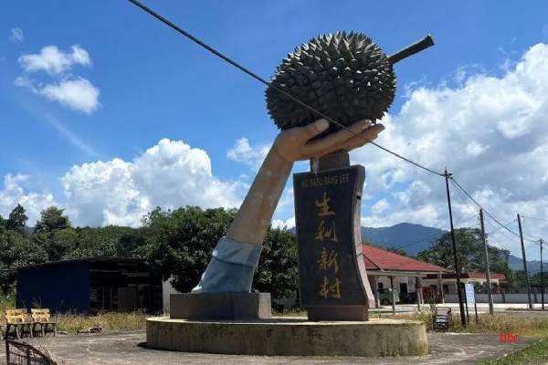 துரியன் பழத்திற்கு அடிமையாகும் சீன மக்கள்... ஒரே ஆண்டில் ரூ 63000 கோடிக்கு இறக்குமதி | Durian China Billion Dollar Appetite