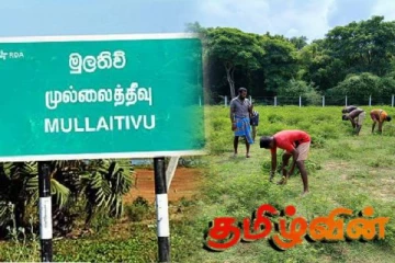 இரணைப்பாலை மாவீரர் துயிலும் இல்லத்தில் சிரமதான பணிகள்