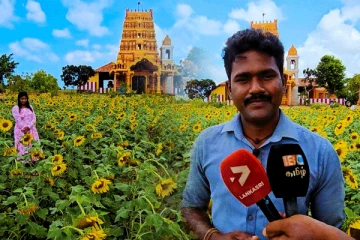 யாழில் பட்டதாரி இளைஞனின் வியக்க வைக்கும் சூரியகாந்தி தோட்டம்