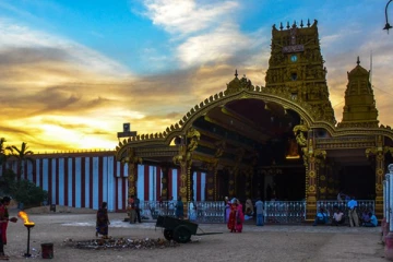 ஜனாதிபதி தலைமையில் நல்லூரில் தேசிய தைப்பொங்கல் விழா