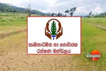 ගොවි මණ්ඩලයේ ලොක්කෝ 19 දෙනෙකුටම හොරෙන්ම දීමනා දීලා
