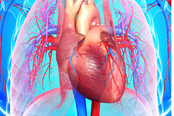 இதய நோய் வராமல் தடுக்கும் இயற்கை பொடி...10 நிமிடத்தில் செய்யலாம்! எப்படி செய்வது தெரியுமா? | Ellu Podi Sesame