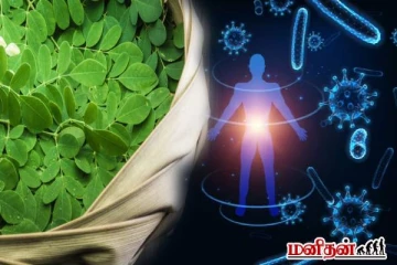 இந்த உணவுடன் முருங்கை இலையை சேர்த்து சாப்பிடுங்க... நோயெதிர்ப்பு சக்தி இருமடங்காகுமாம்!