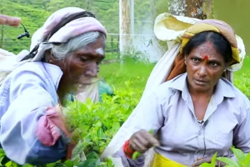200 வருட அரசியல் - மாறாத மலையகம் ; மக்களின் ஆதங்கம்(video)