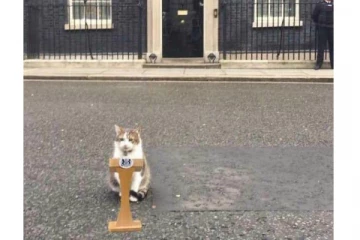 பிரித்தானிய நிதி அமைச்சர் சுகாதாரத்துறைச் செயலரைத் தொடர்ந்து பிரதமர் இல்ல பூனையும் ராஜினாமா?: ஒரு வைரல் செய்தி