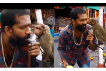 படப்பிடிப்பு தளத்தில் பாபா பாஸ்கருடன் கொஞ்சி விளையாடிய குரங்கு - வைரலாகும் க்யூட் வீடியோ